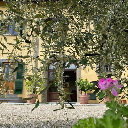 Villa Rigacci 레겔로 외부 사진