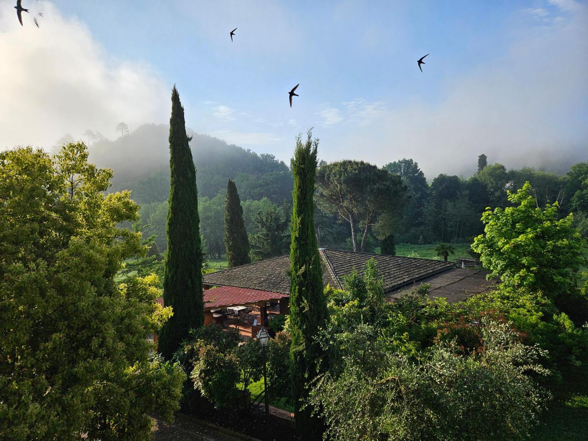 Villa Rigacci 레겔로 외부 사진