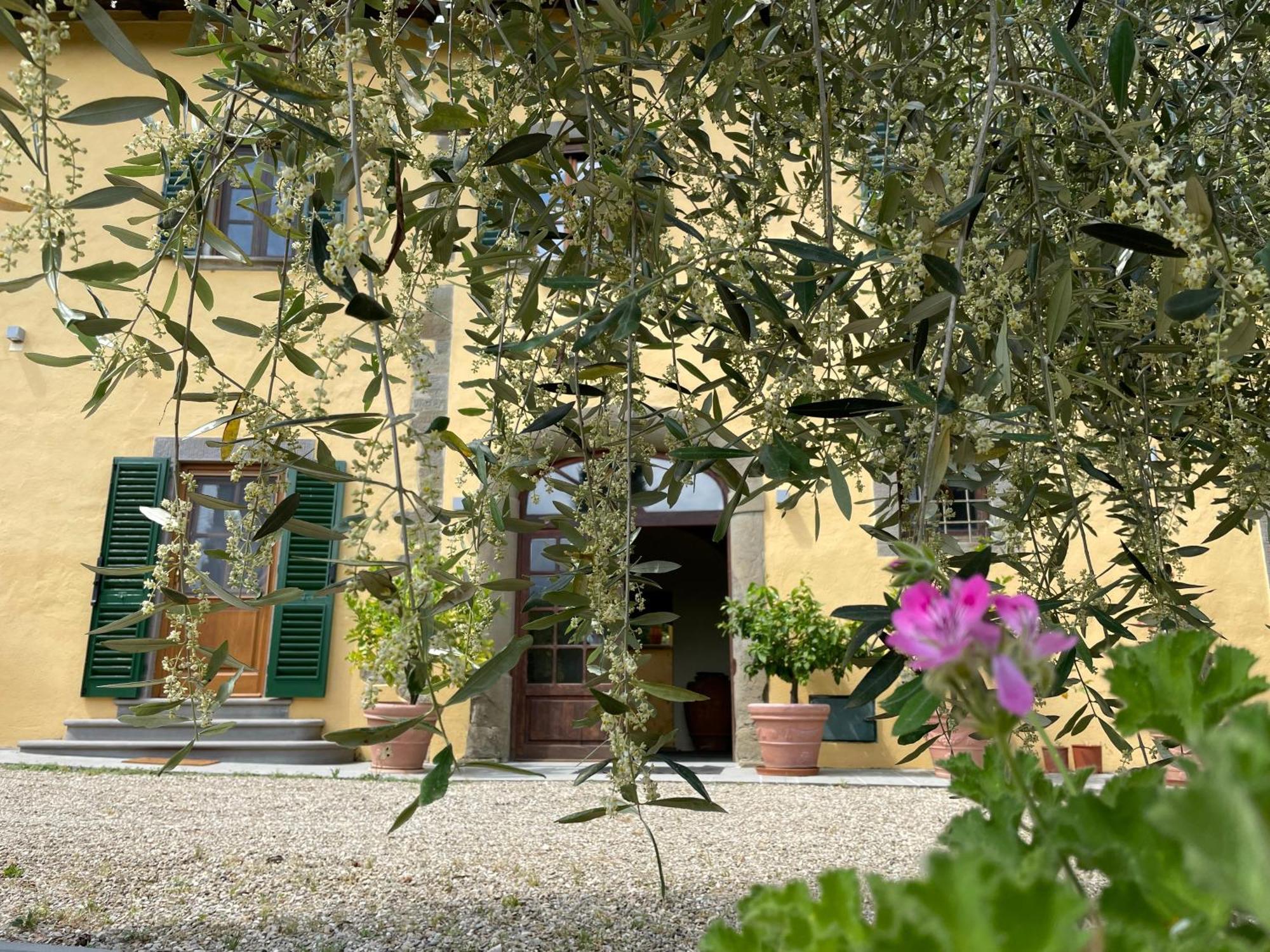 Villa Rigacci 레겔로 외부 사진